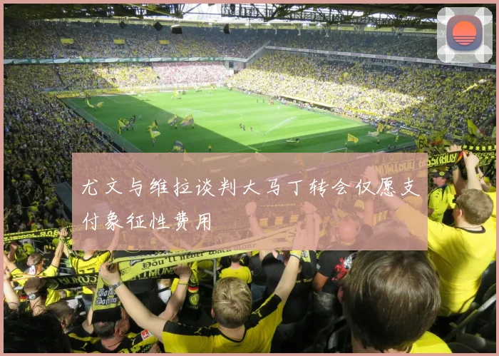 尤文与维拉谈判大马丁转会仅愿支付象征性费用