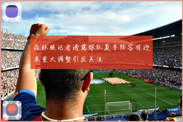 森林狼记者透露球队夏季阵容将迎来重大调整引发关注
