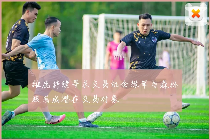 雄鹿持续寻求交易机会绿军与森林狼或成潜在交易对象