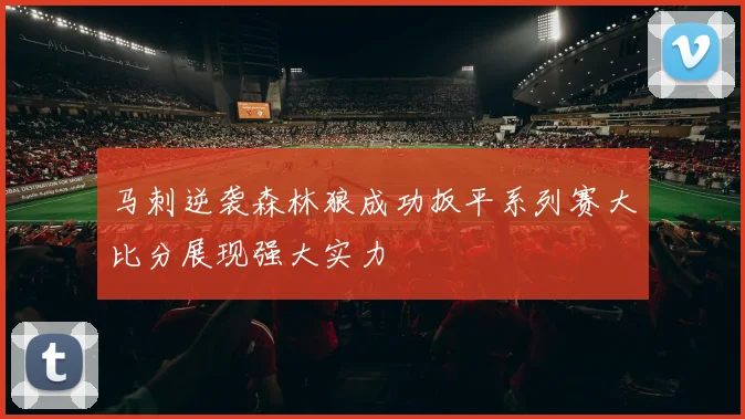 马刺逆袭森林狼成功扳平系列赛大比分展现强大实力