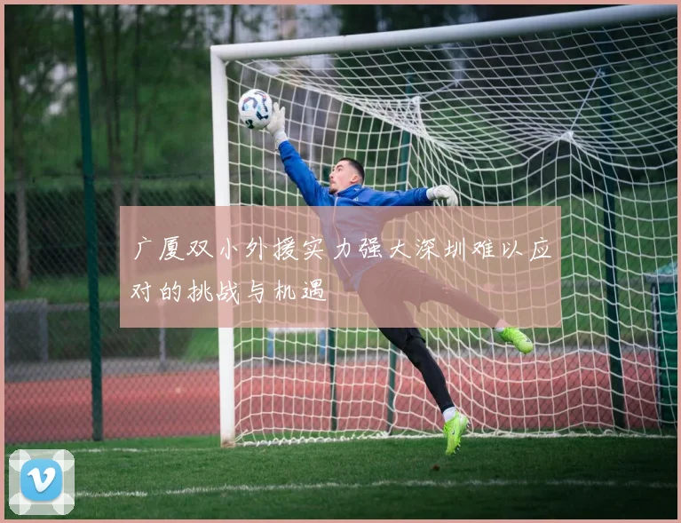 广厦双小外援实力强大深圳难以应对的挑战与机遇